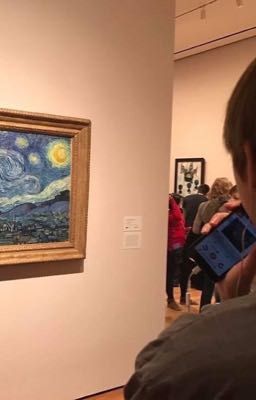 Tại Bảo Tàng Vangogh Em Yêu Anh