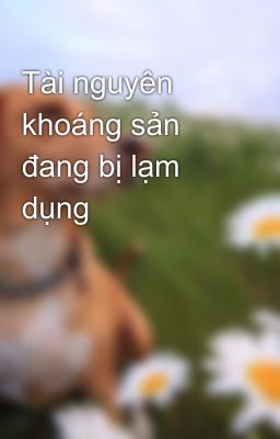 Tài nguyên khoáng sản đang bị lạm dụng