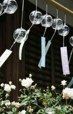 takechia | rung động