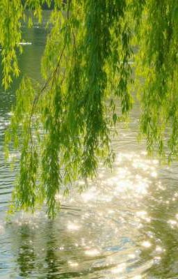 Tạm biệt Uyển Phong