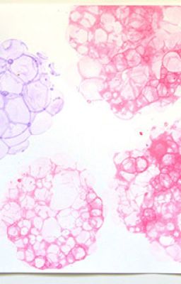 Tầm Nguyệt Kỳ Duyên