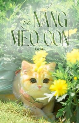 [TBTN Fanfic] Nắng và Mèo Con