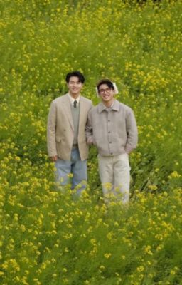 Tên Quản Lý Gia Kỳ Quái!( Truyện Ninh Dương)