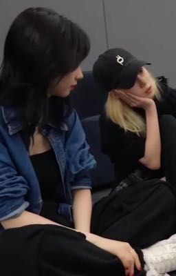 text w/ cún chòn mèo ngốk