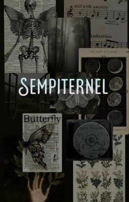 (textfic/12cs/bl) sempiternel