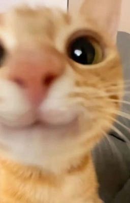 Textfic | • Chuyện chúng mình 