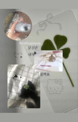 [textfic] theo đuổi tình iu˚ʚ♡ɞ˚