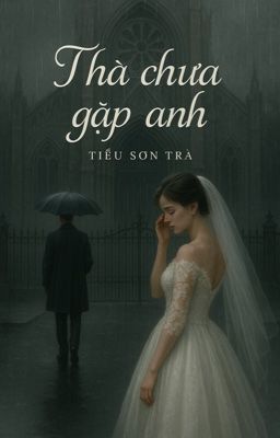 Thà Chưa Gặp Anh