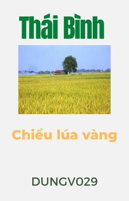 Thái Bình chiều lúa vàng