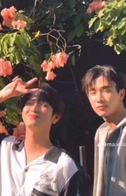 The F9 tình yêu của Mafia