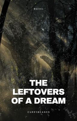 The leftovers of a dream