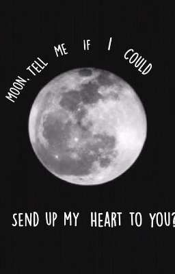 The moon lover