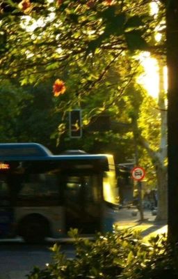 Thích Cậu Từ Những Điều Nhỏ Nhặt Nhất