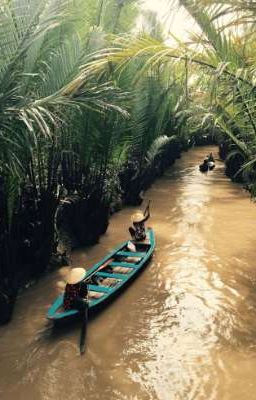 [Thuần Việt][Bách Hợp] Hoa Đỏ Bên Mồ