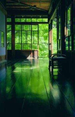 Thủy Nguyên Nhật Hòa