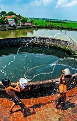 Thuyết âm mưu giếng cổ 