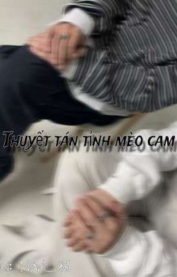 Thuyết tán tỉnh mèo cam ~ | Drop
