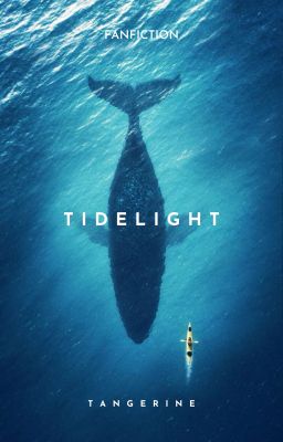 Tidelight || OP x reader ||