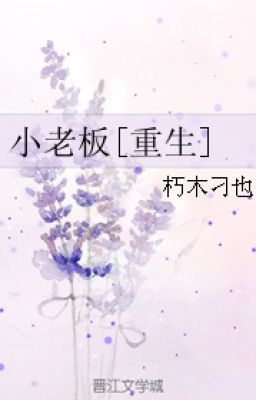 Tiểu lão bản [ trùng sinh ] -Tác giả: Hủ Mộc Điêu Dã - Devil World