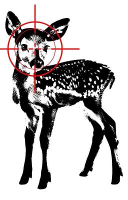 Tìm lại quá khứ_ BoBoiBoy