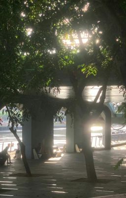 Tin Nhắn Lúc Nửa Đêm