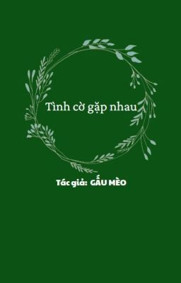 Tình Cờ Gặp Nhau