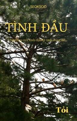 Tình Đầu <Seoksoo>