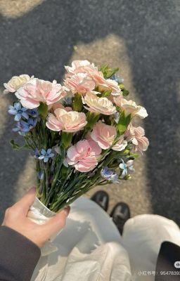 tình yêu bị làm sao vậy?