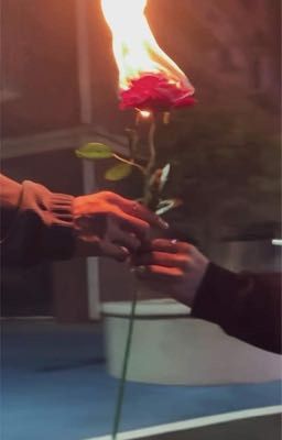 Tình Yêu Định Nghĩa Thế Nào?