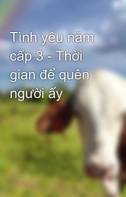 Tình yêu năm cấp 3 - Thời gian để quên người ấy 