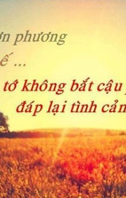 tình yêu và tình bạn