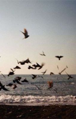 Tình Yêu và Ước Mơ 