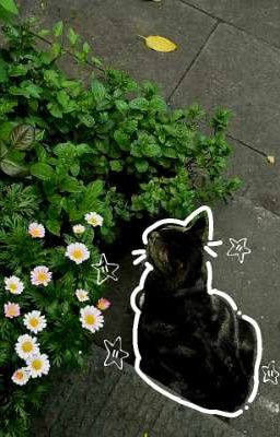 TítNhã| HuyNhã| Có nhau