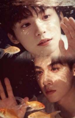 Tôi muốn bảo vệ em một đời