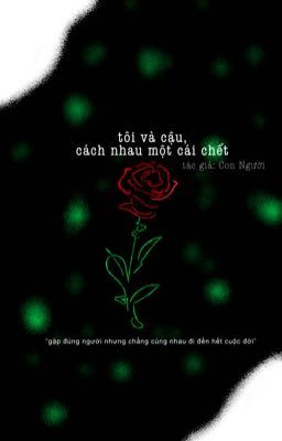 Tôi và cậu, cách nhau một cái chết