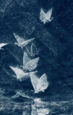 tokyo revengers | lững lờ