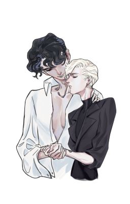 | Tom Riddle x Draco Malfoy | Birds of A Feather