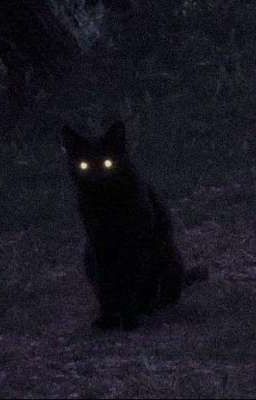 TomTord/ TordTom/ Eddsworld