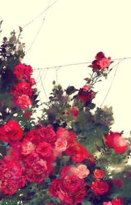 [Tống] Ta là ai-Lương Thiếu Tả