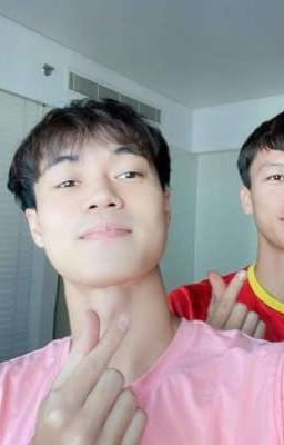 Tổng Tài Của Em