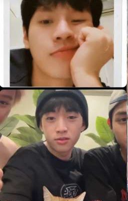 [tqta] ố lối