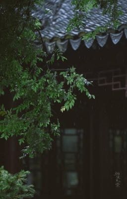 Trà hoa bất ngữ - Annyeongz