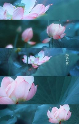[Trác] - Phàm Nhân Thiên