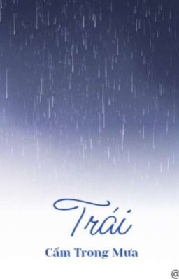 Trái Cấm Trong Mưa