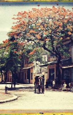 Trái Tim Dưới Vòm Gác Gỗ 
