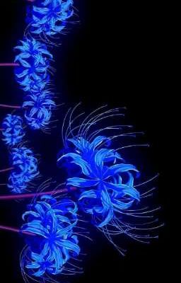 Trăng Trong Đáy Nước 