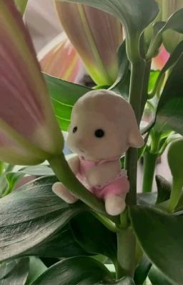 [trans] choran | anh nói nhiều quá đó