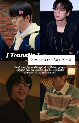 [ Transfic ] SeongTae - Mật Ngọt 