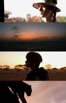 Transfic｜文轩｜Sương Mai