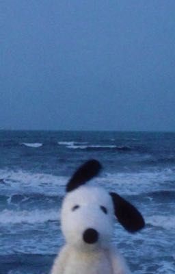 trên tầng thượng 